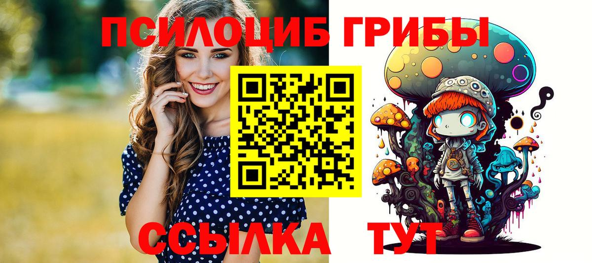 Галлюциногенные грибы Psilocybine cubensis Гатчина