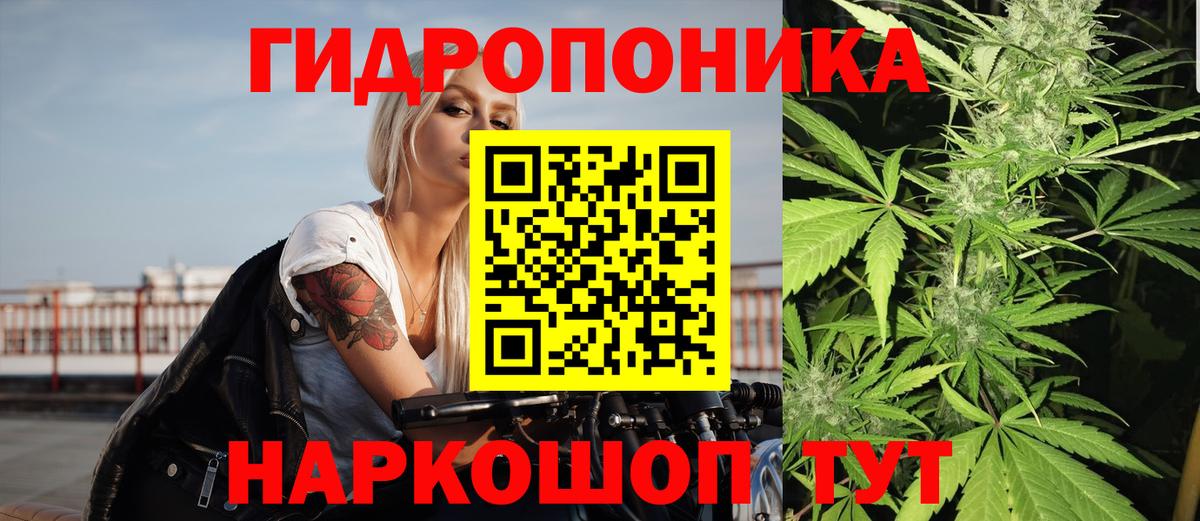 Конопля AK-47 Гатчина